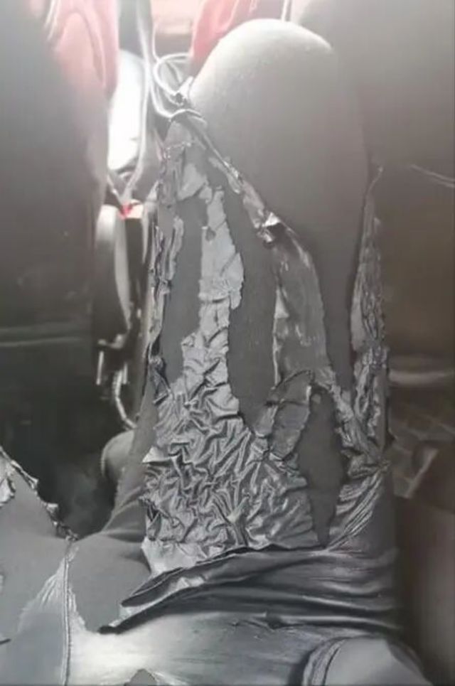 美女参加婚宴，皮裤突然“爆炸”！化学老师分析爆炸的真相？