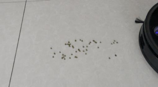 2岁宝宝扫地机器人,5000元内扫地机器人测评排行