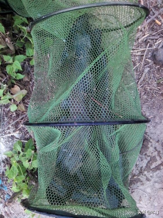 潘塘石窝钓鱼,路亚鱼塘钓石斑用什么假饵