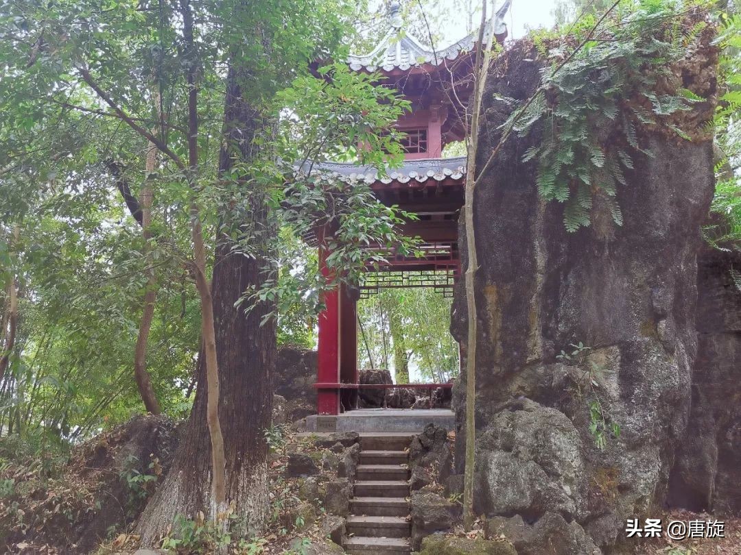 深山里的神秘学校,隐藏在大山深处一所神秘的学校