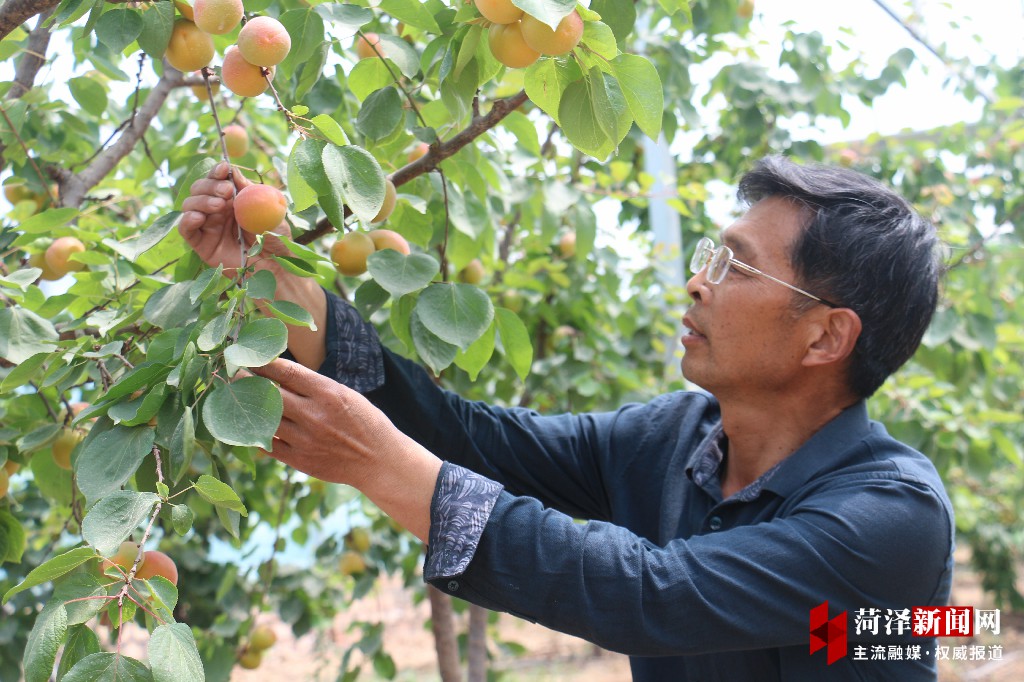 山东郓城农村环境整治,郓城县环境整治