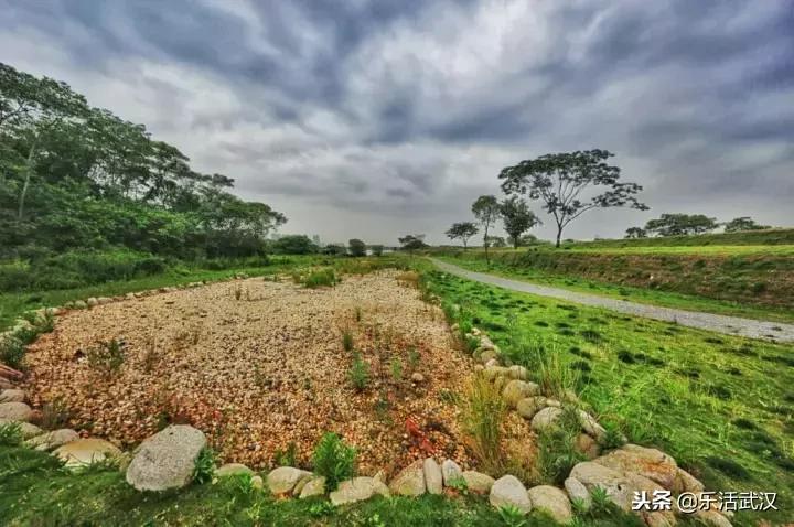 1月武汉,武汉1月份有什么玩的