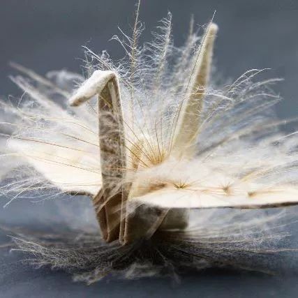 1000天1000只纸鹤,他折的纸鹤让自己走出抑郁……