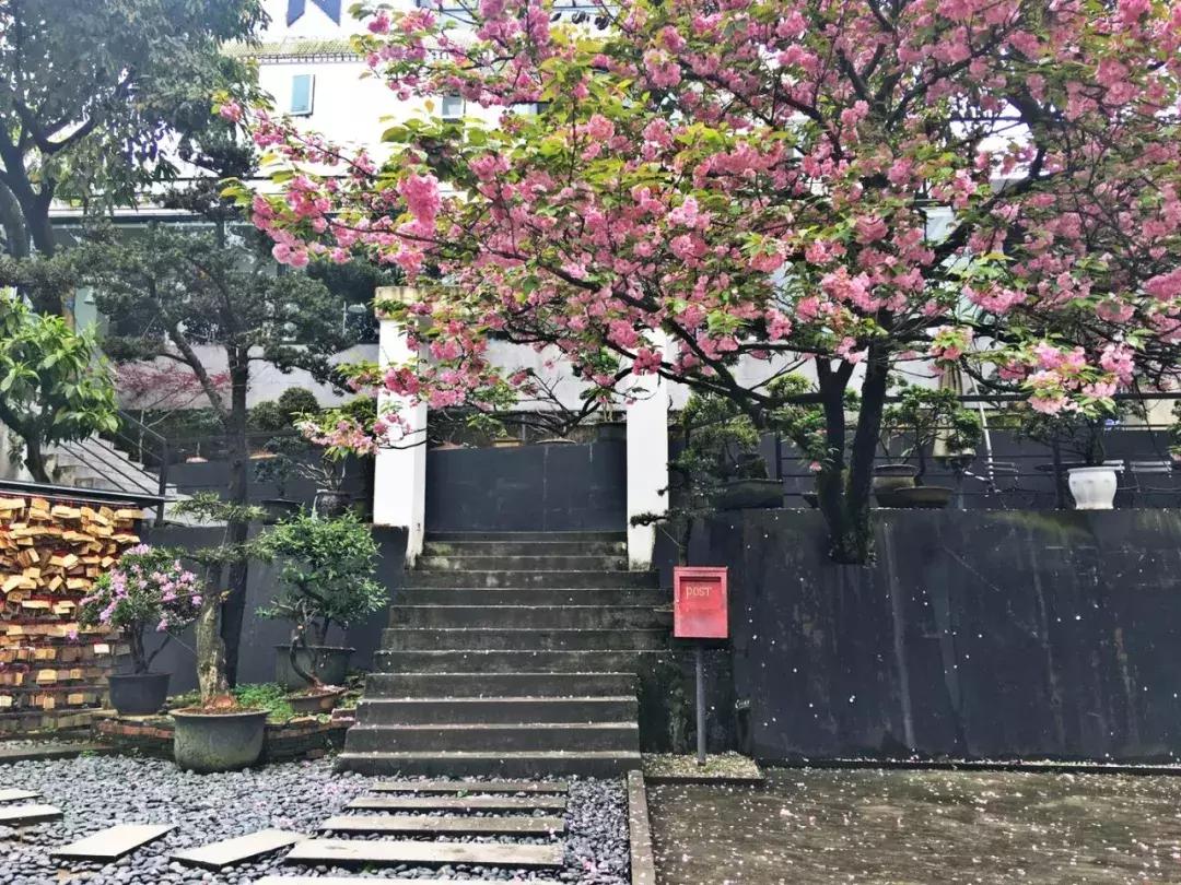 重庆的网红打卡书店在哪,重庆绝不仅仅是一个网红城市