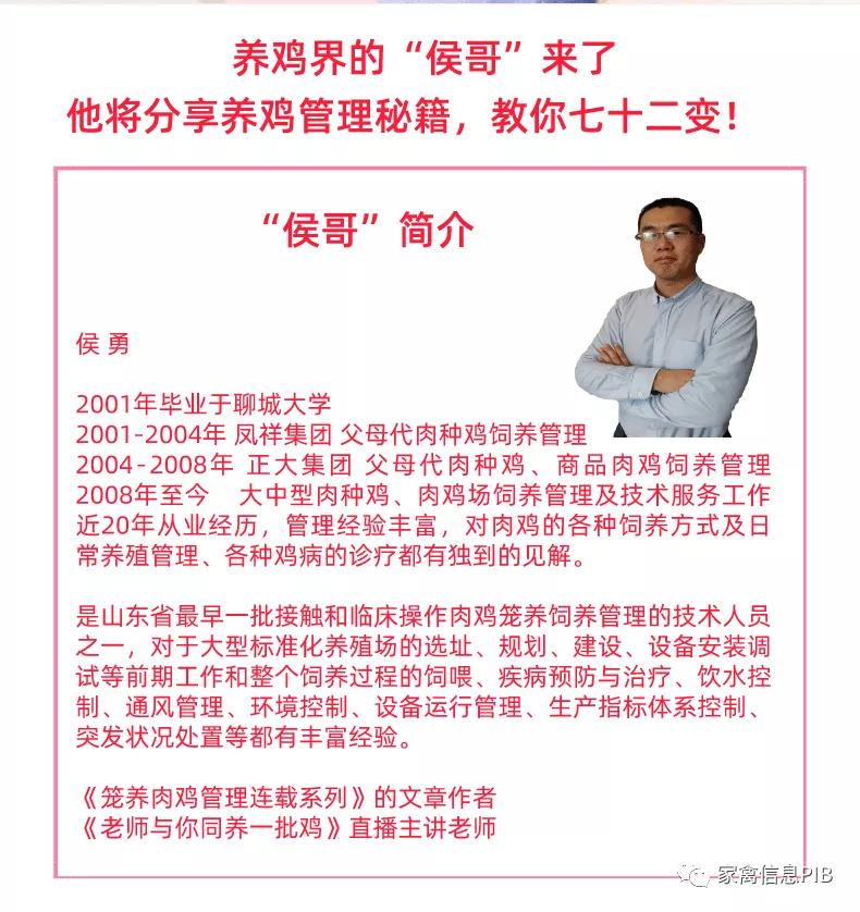 冻品鸡产品价格走势看什么,全国冻品鸡今日价目表2020