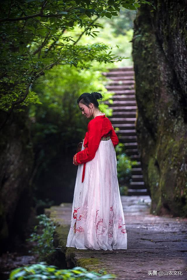 武夷山最有名的大红袍茶,武夷山大红袍正宗茶有多少钱一斤