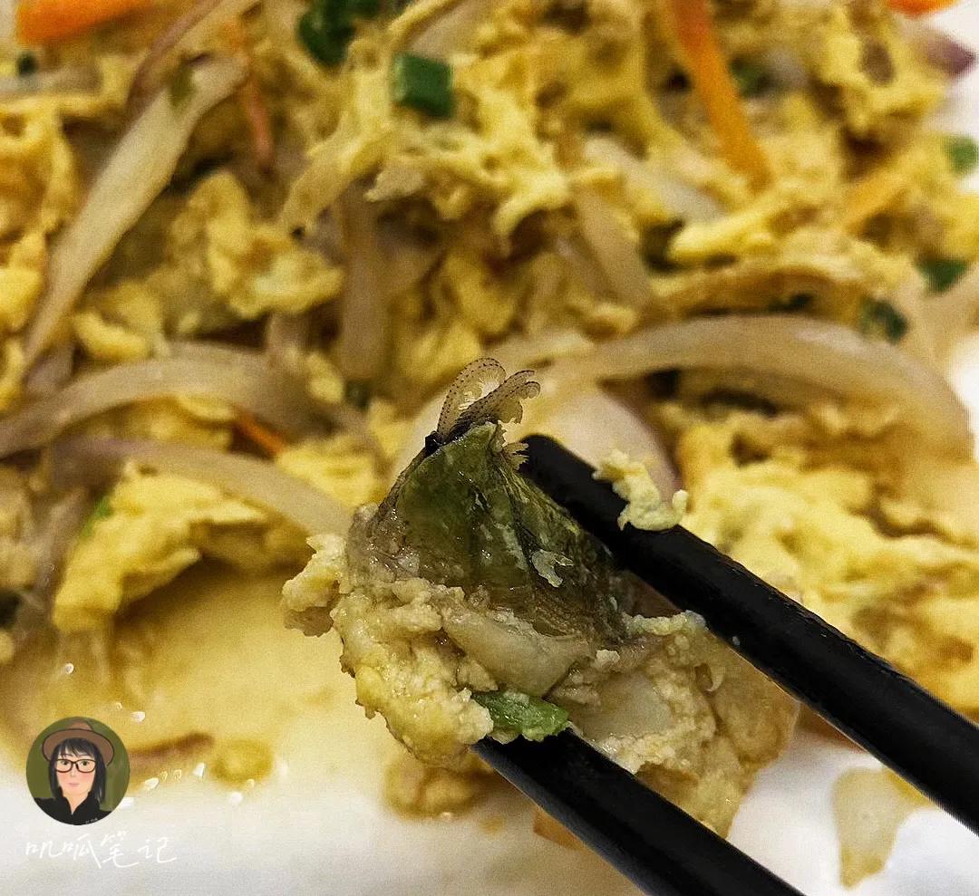 这些海洋里的生物你都见过吗,海洋生物你们有见过吗