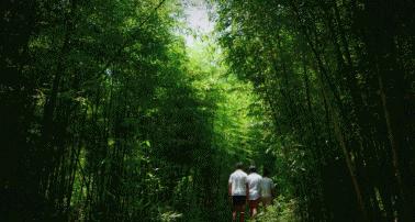 裸心谷裸心堡价格,裸心堡和裸心谷哪个风景好