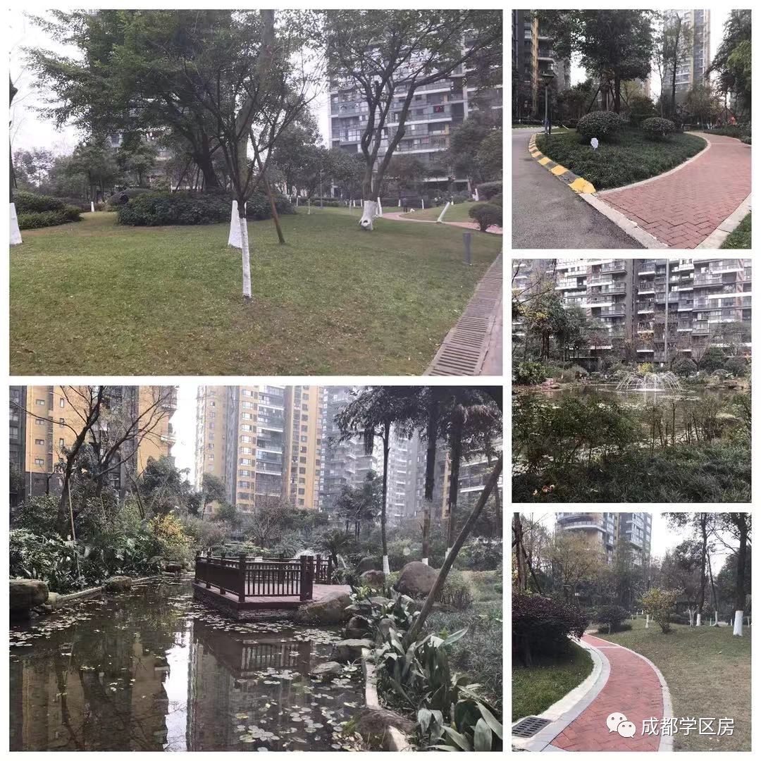 华侨城小学配套什么中学,华侨城对口小学