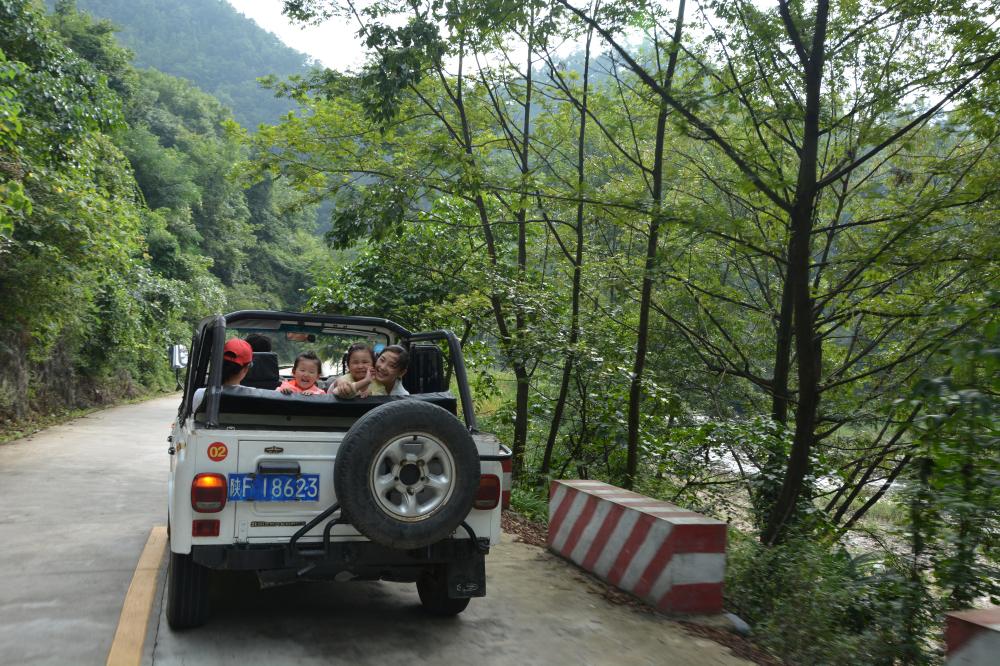 野蜂的口粮极为珍稀，一年等一次，再危险我们也要去“盗”一些！
