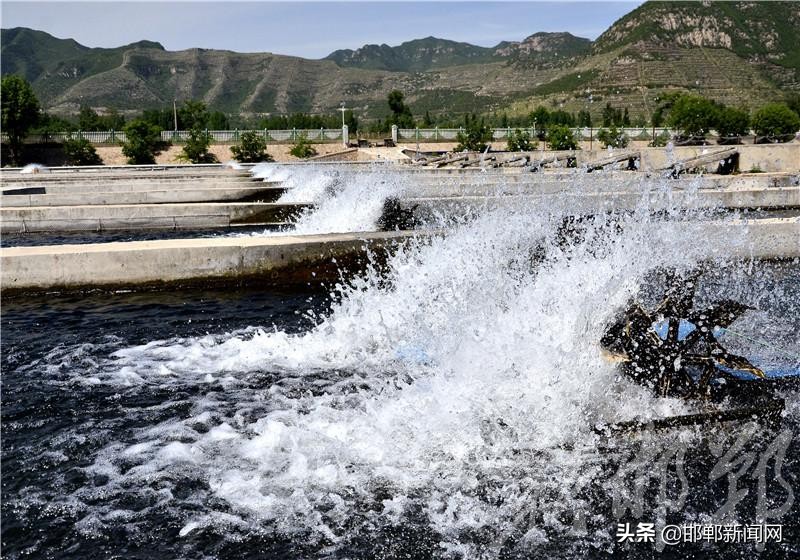 涉县索堡镇鲟鱼养殖基地,邯郸市涉县索堡镇常乐村