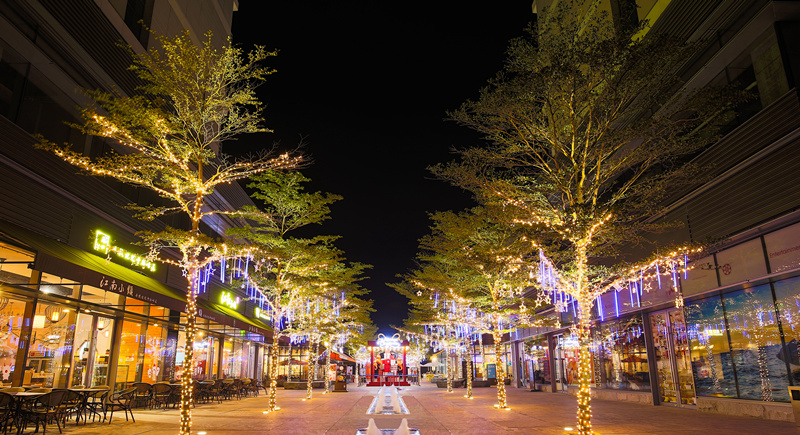 深圳华润小径湾好不好,华润小径湾优缺点