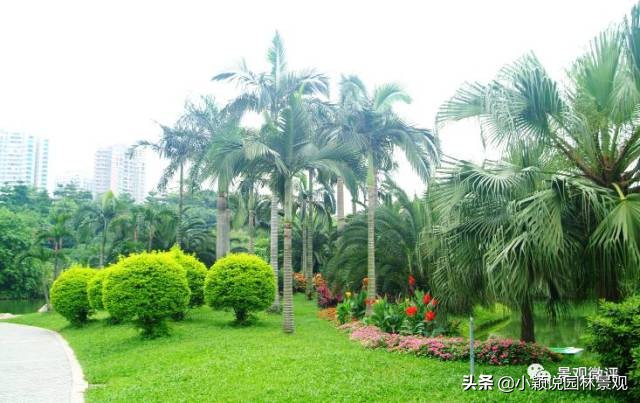 住宅小区植物配置方案,植物种植小技巧一览表图