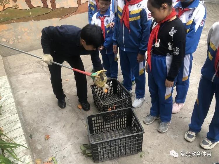 邯郸教育动态,邯郸市教育观察