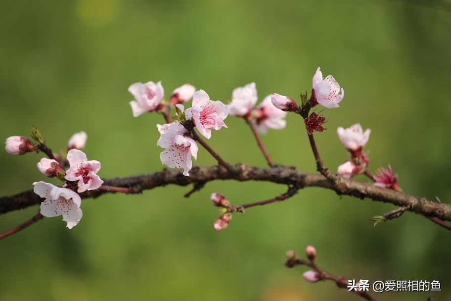 一个普普通通的小镇兴化,兴化为什么没有大城市的繁华