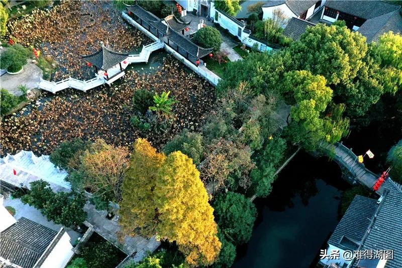 荻港庆丰收鱼桑焕新颜|在湖州看见幸福小康