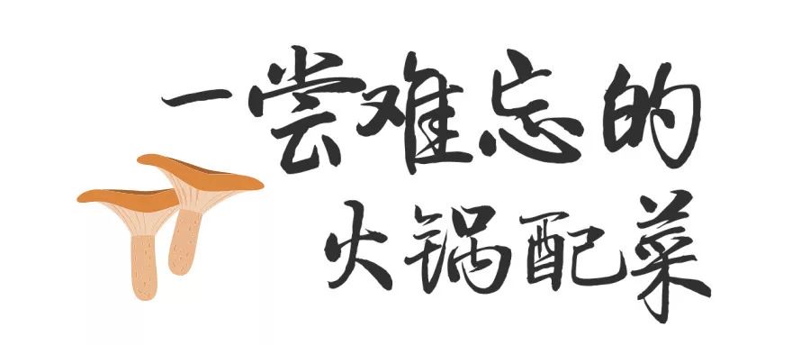 3000公里“空运”来的米线火锅，告诉你什么是真正的云南