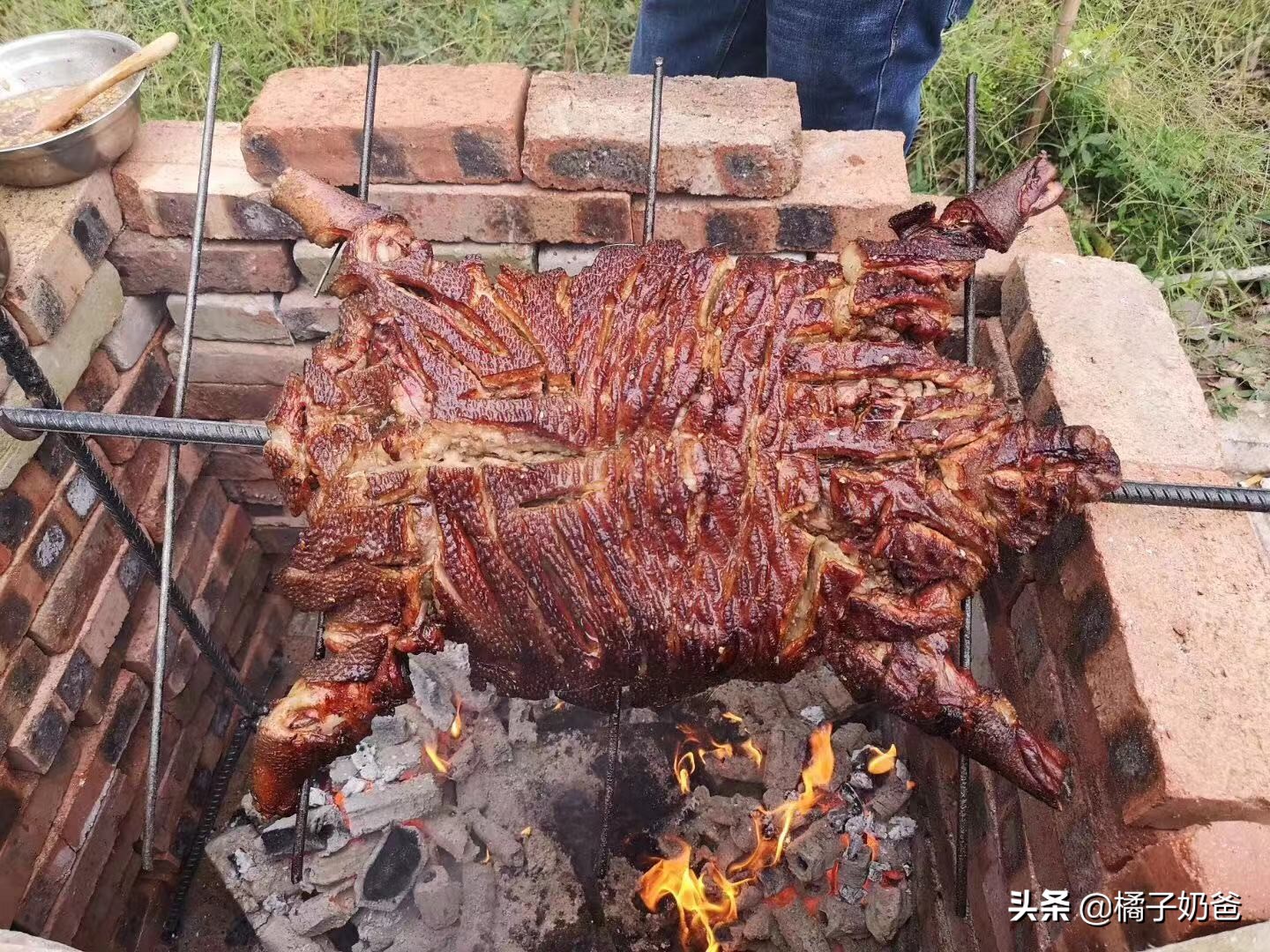 养殖豪猪的风险,豪猪的养殖前景怎样