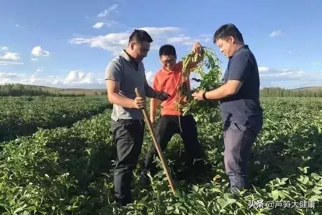 农发贷最新信息,农发贷款