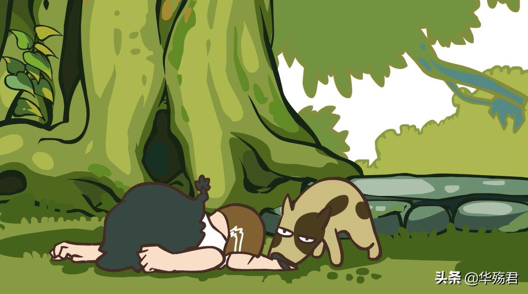 罗小黑战记:玄离和阿根到底是不是一个人?这些证据说明一切