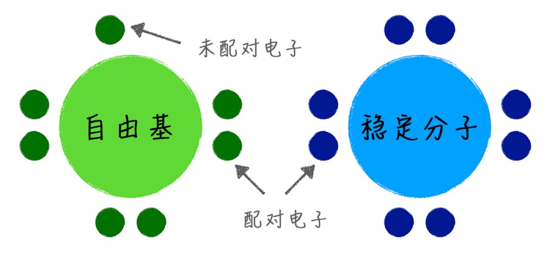 羽西抗老精华跟小棕瓶,小棕瓶精华有什么成分抗老