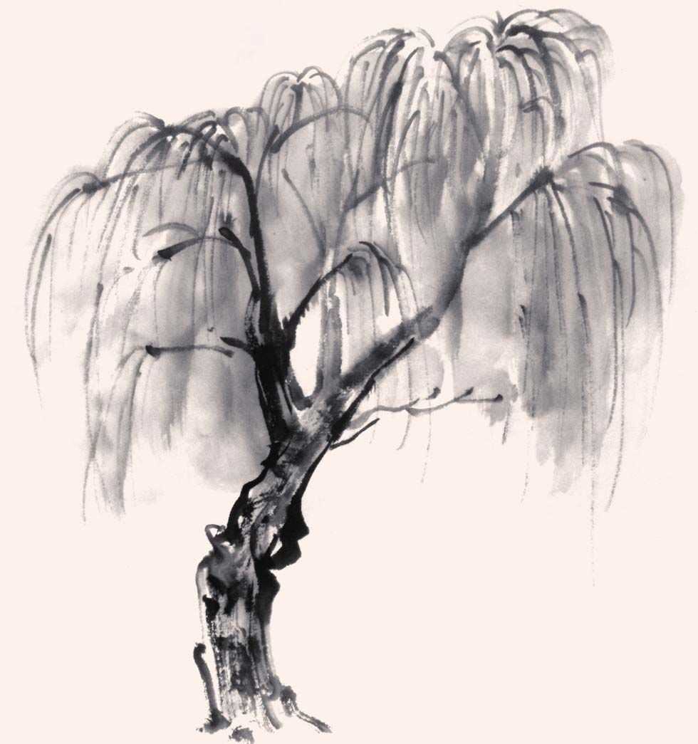 国画画树时的使转用笔方法,国画教程画树入门