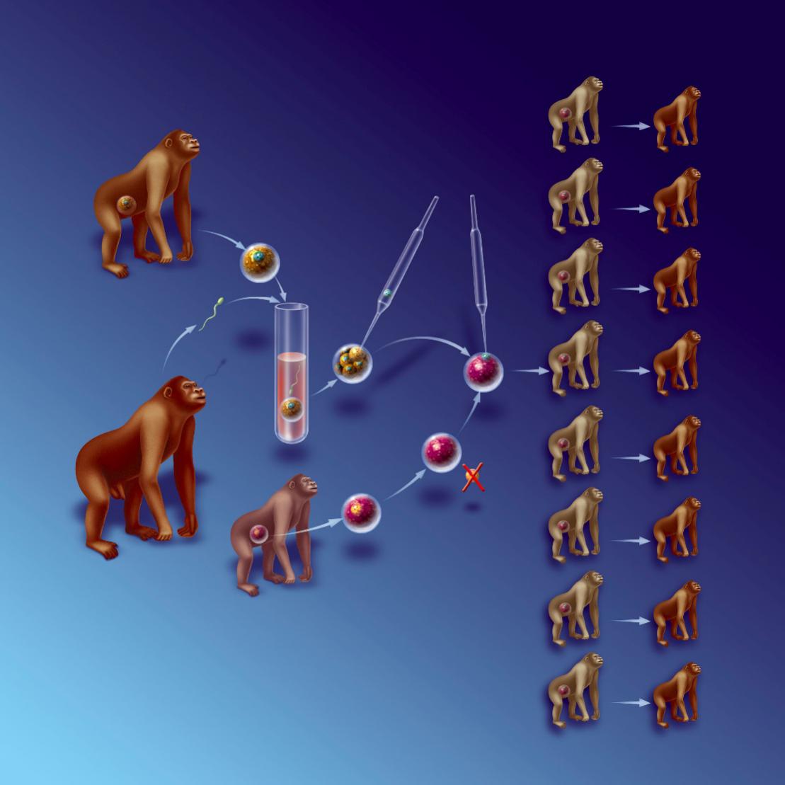 38万可以做什么,38万能做什么