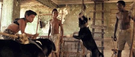 R级!这个未成年,干了成人不敢干的