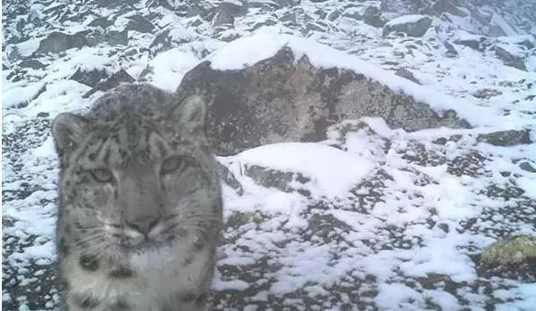 汶川是什么省,汶川大地震