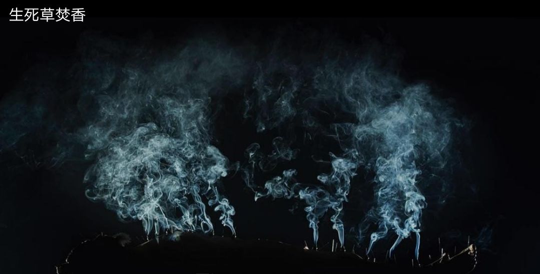 李尸朝鲜第二季封面,李尸朝鲜第二季电视剧解说