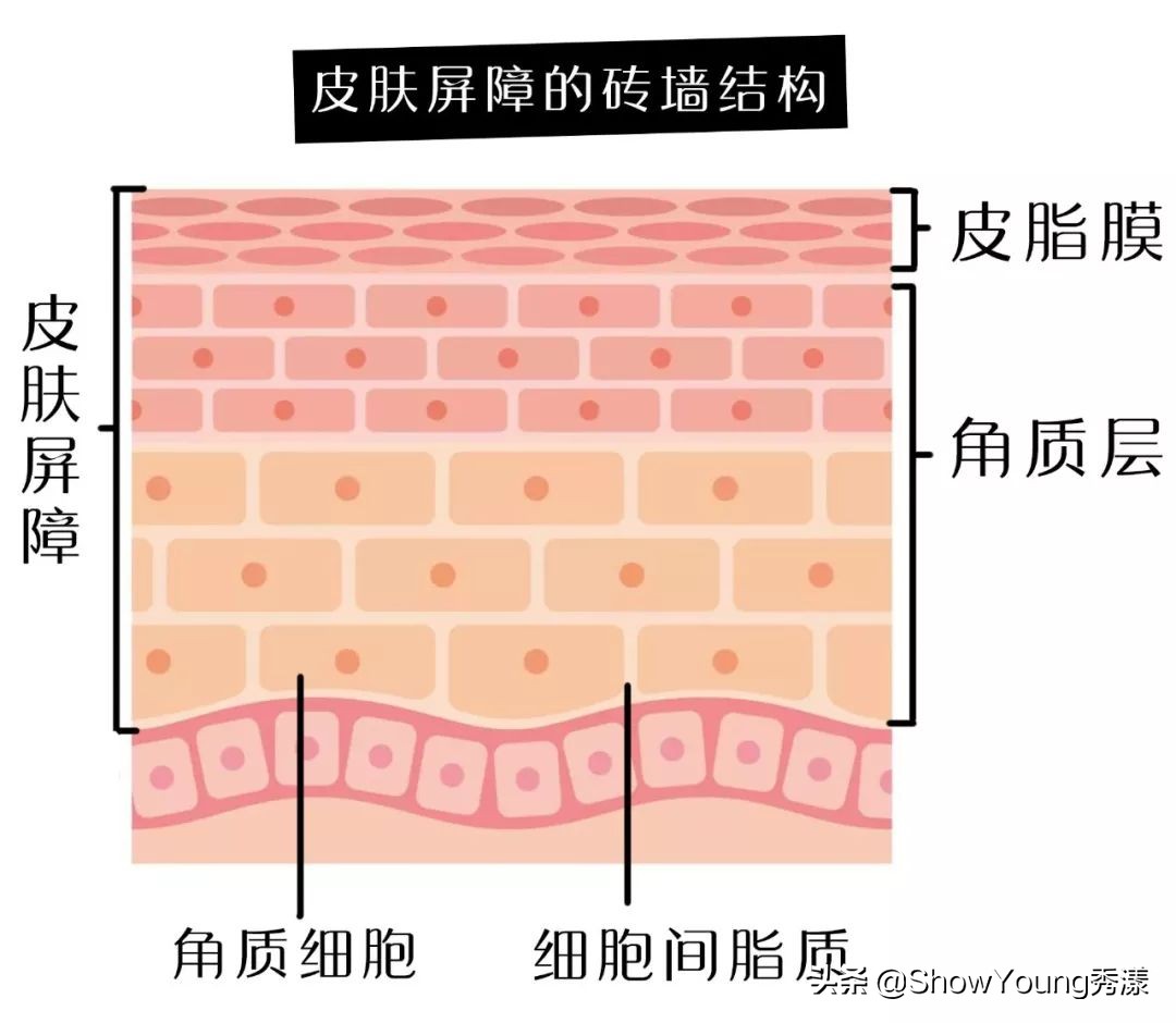护肤千万不要轻易相信网红护肤,真实护肤科普拒绝套路