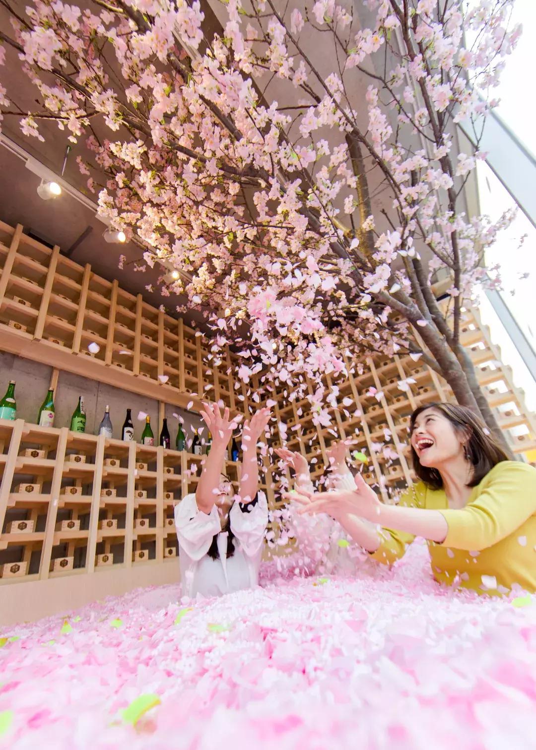 日本花粉症吃什么药,日本人为什么容易得花粉症