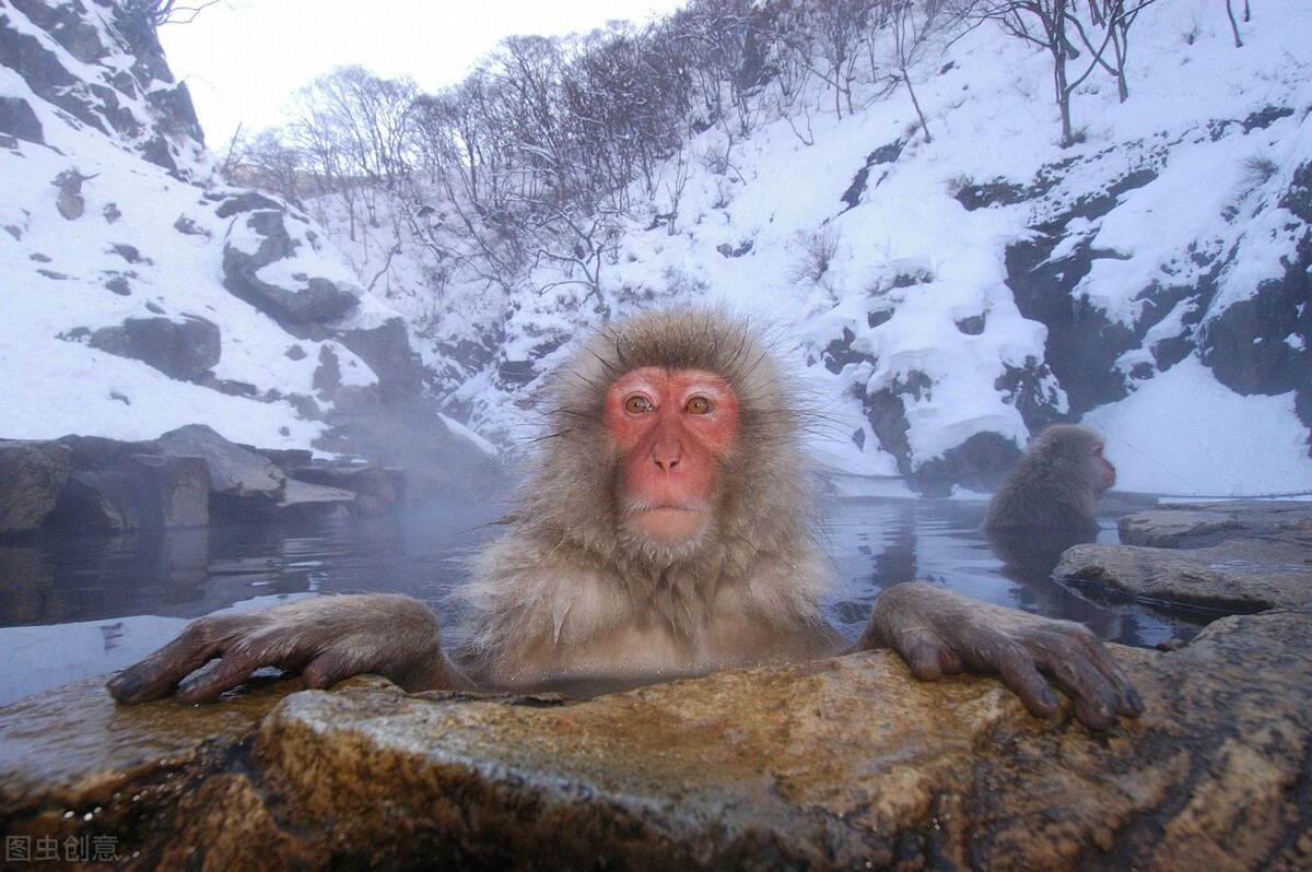 银子耳钉发黑怎么清洗,银子发黑没有锡纸怎么清洗变白