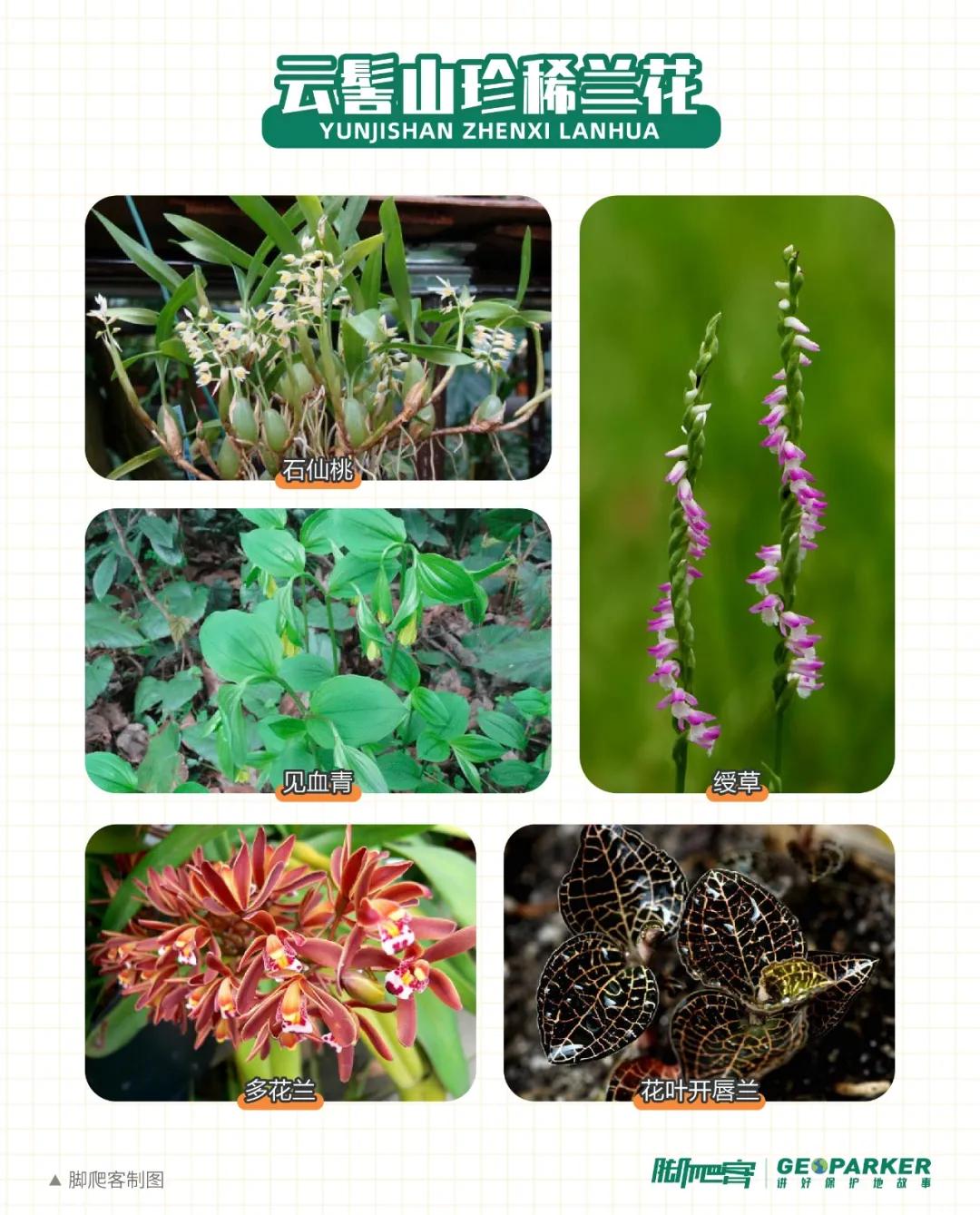 云髻山秋天图片,云髻山有雾凇吗