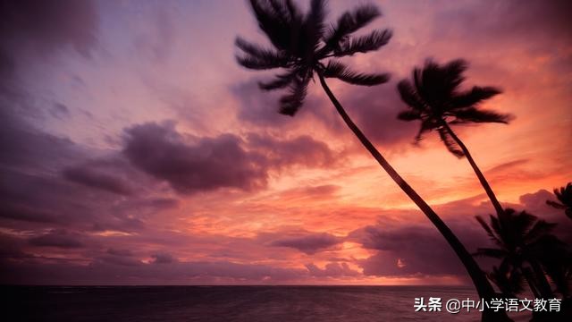 小学语文容易读错的常用字,语文基础知识常见错别字