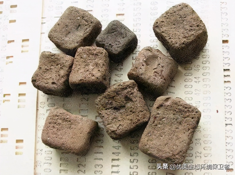 树袋熊的便便为什么是方形的,树袋熊有趣的知识