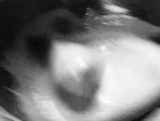 点茶法的正确喝法,点茶法好喝吗