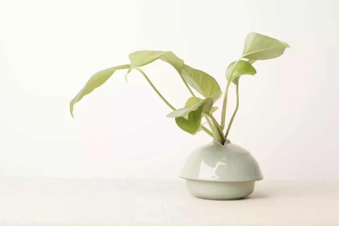 一天一月一起一年,一天一月一年一生什么意思