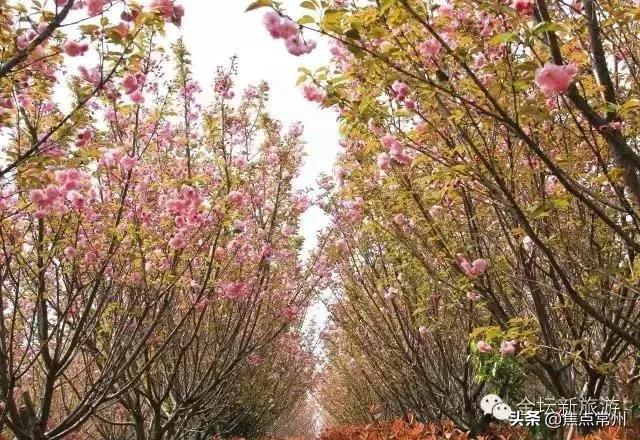 金坛适合一个人安静的地方,金坛的一个小镇