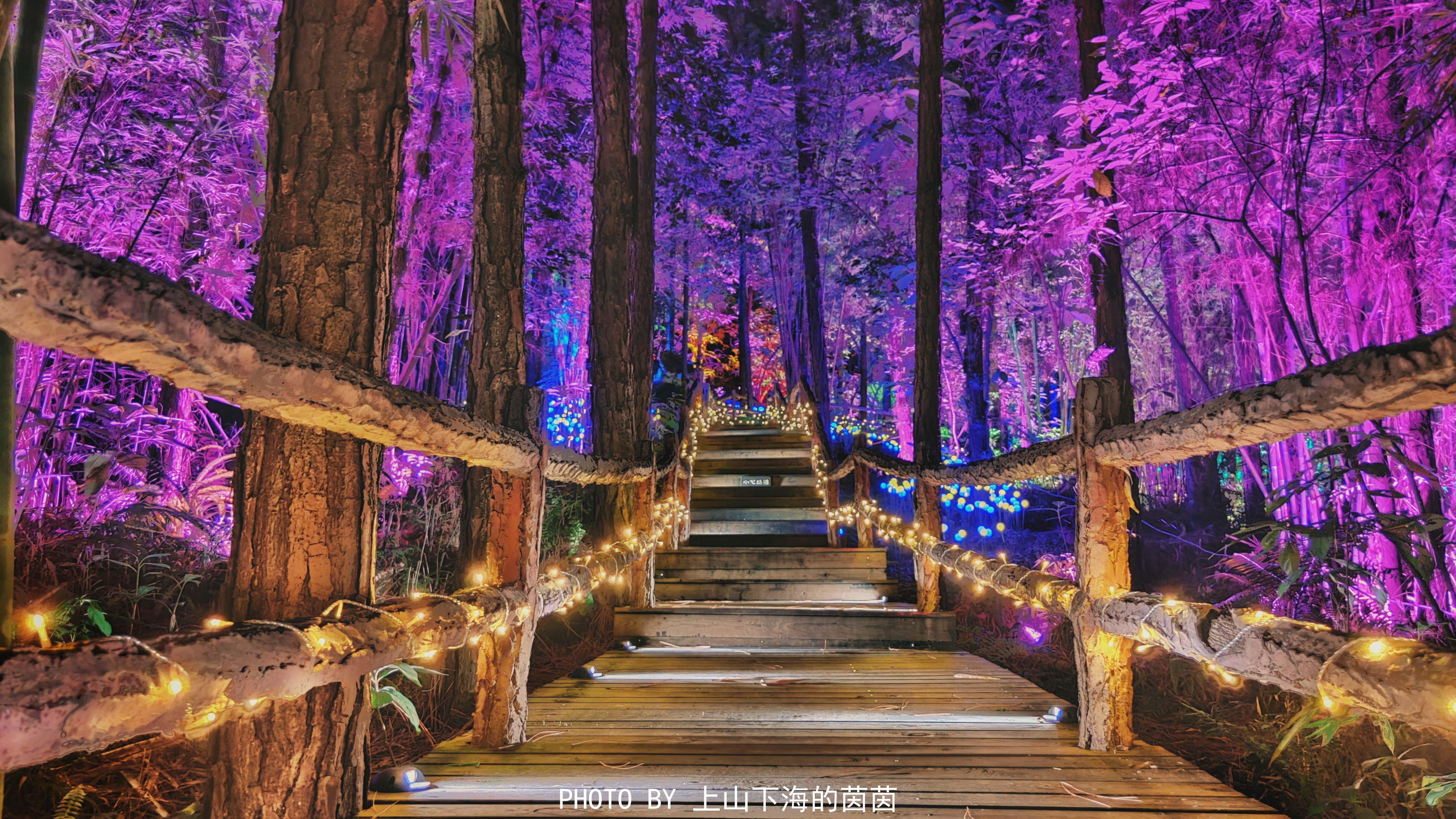 清远市佛冈森波拉度假区,佛冈森波拉度假森林免费攻略