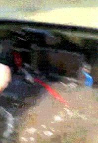 搞笑gif嫂子包饺子,搞笑gif姑娘你这次真的是玩过头了