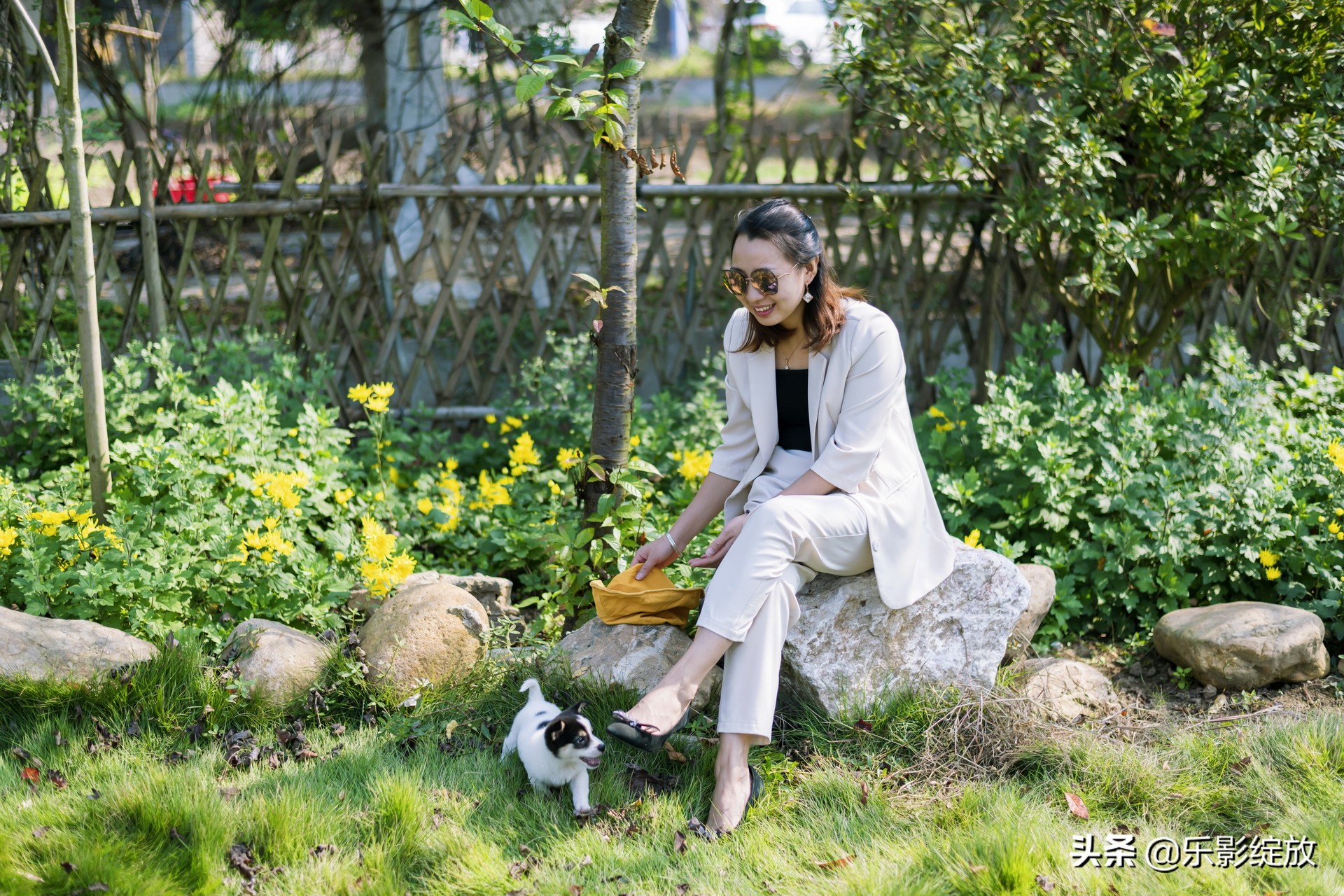 带小花狗去野外生存,带着小花去兜风