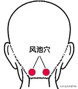 肝胆相照与中医知识的区别,肝胆相照与中医知识的区别和联系