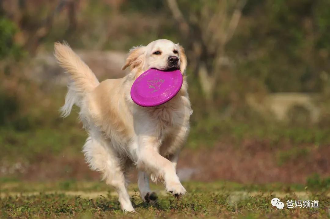 简单又酷的户外运动,最受儿童喜欢的户外活动