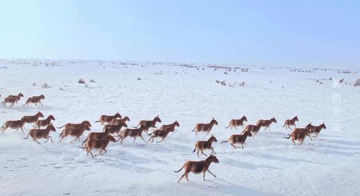 能长上流社会见识的纪录片,有什么可以增加见识眼界的纪录片