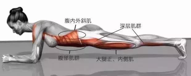 平板支撑对腰椎间盘突出有好处吗,常做平板支撑的好处和坏处有哪些