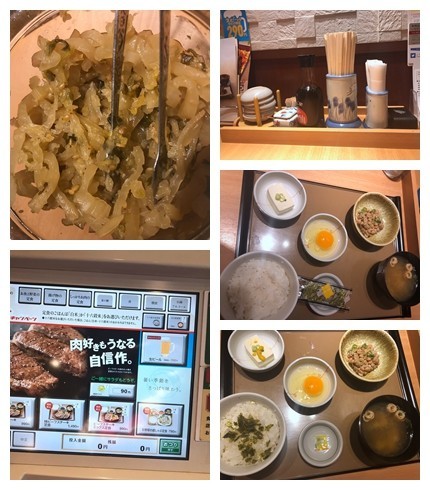 箱根到奈良如何坐车,日本东京京都箱根大阪奈良8日游