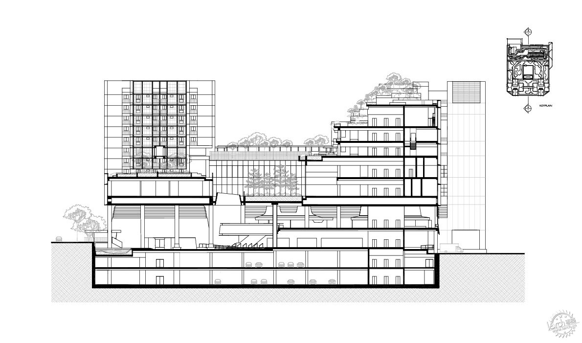 漫步绿树成荫的街道,绿树成荫环境怡人小区