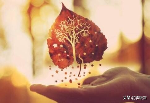 朋友圈微商怎么赚钱,微商月入7万的方法