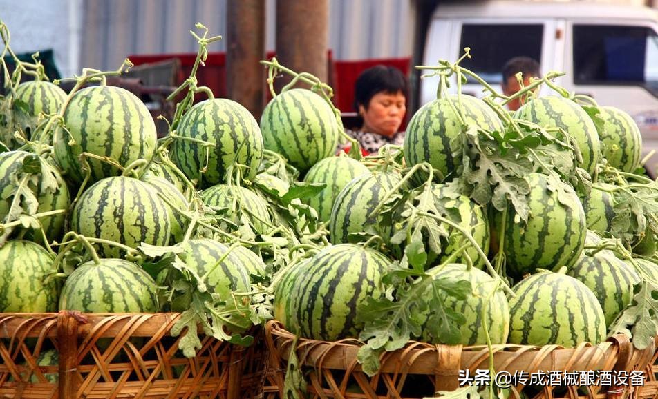 所有夏天里的美好记忆,所有美好的记忆都发生在夏天